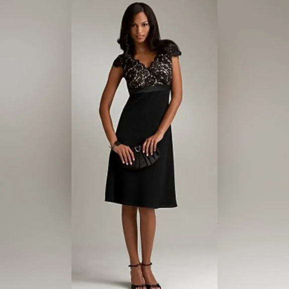 Ann Taylor Dresses & Skirts - EUC Ann Taylor Cap-Sleeve Lace Spectator Dress